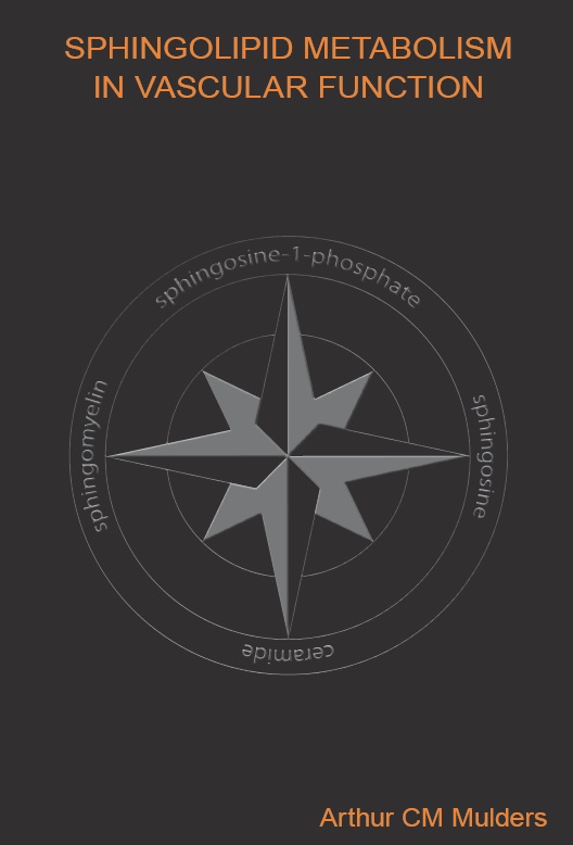 Mulders - Sphingolipid metabolism in vascular function